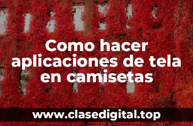 Aplicaciones de tela en camisetas