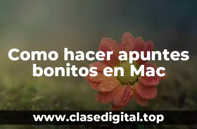 Como hacer apuntes bonitos en Mac