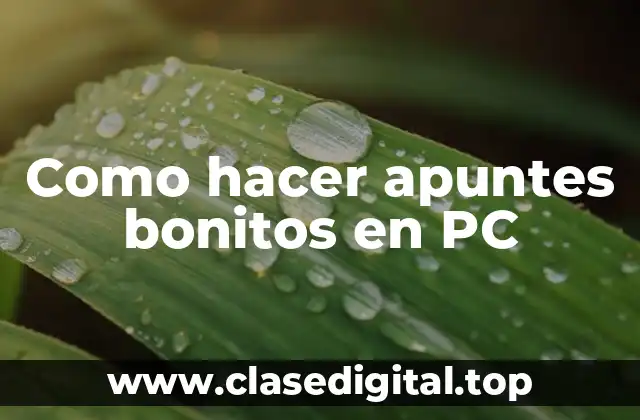 Como hacer apuntes bonitos en PC