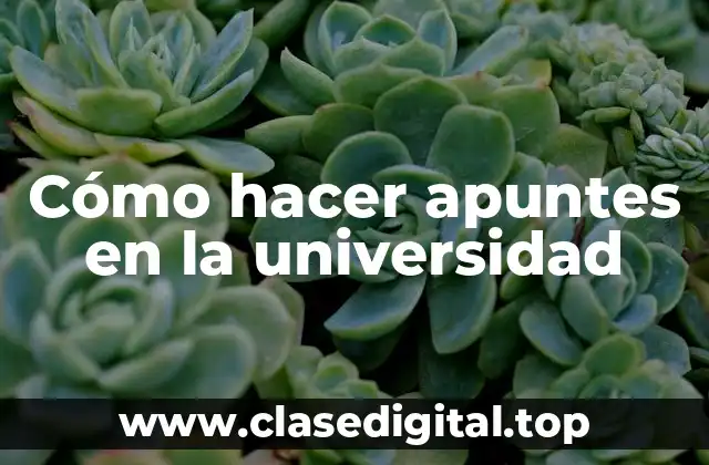 Cómo hacer apuntes en la universidad