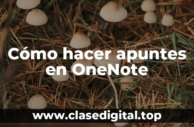 Cómo hacer apuntes en OneNote