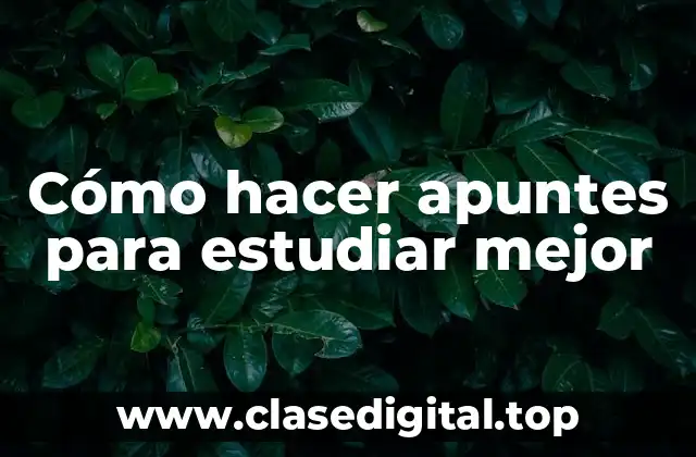 Cómo hacer apuntes para estudiar mejor