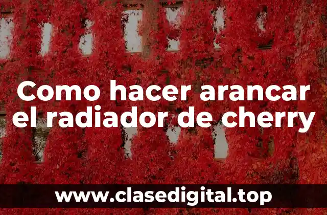 Como hacer arancar el radiador de cherry