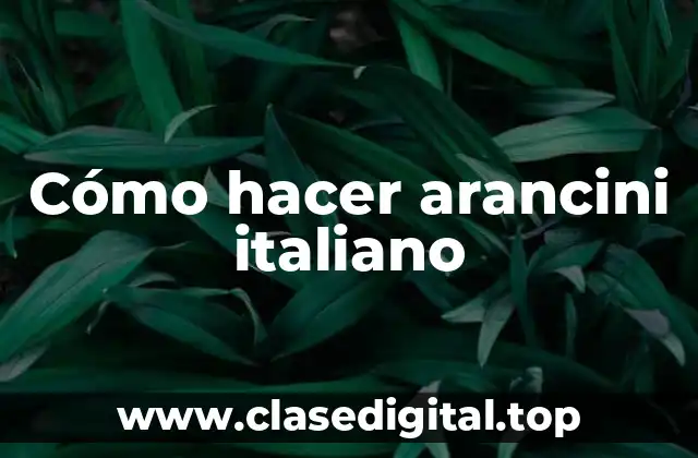 ¿Qué son los arancini italianos?