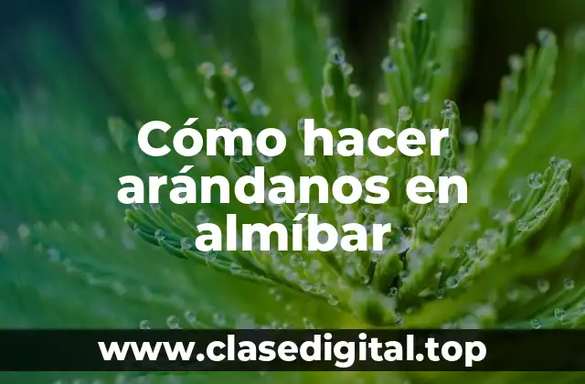 Cómo hacer arándanos en almíbar