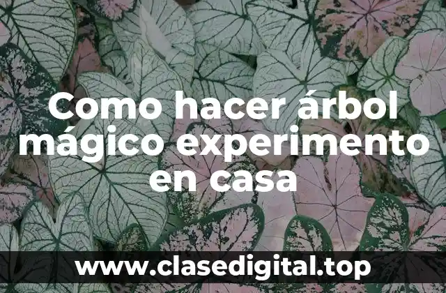 Como hacer árbol mágico experimento en casa