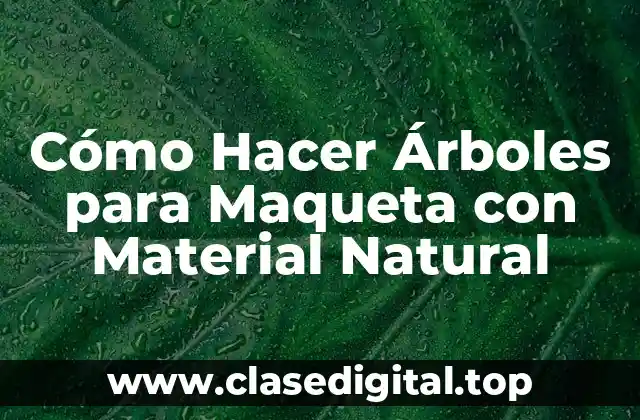 Cómo Hacer Árboles para Maqueta con Material Natural
