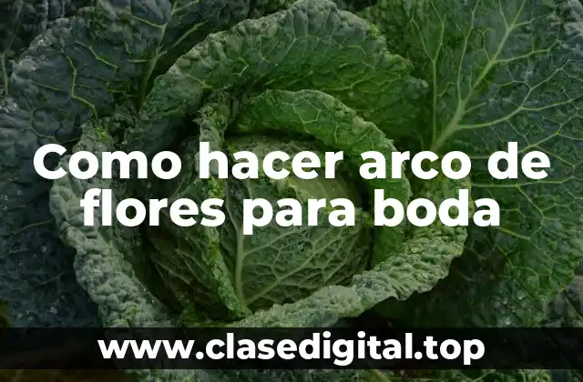 ¿Qué es un arco de flores para boda y para qué sirve?