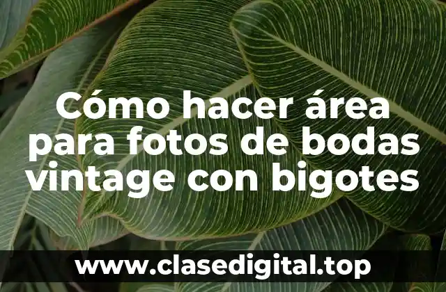 Cómo hacer área para fotos de bodas vintage con bigotes