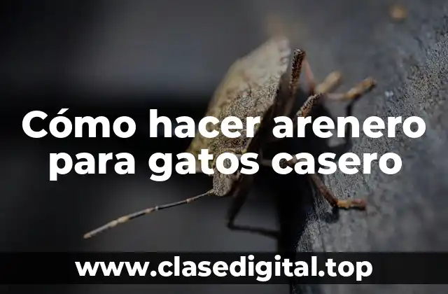Cómo hacer arenero para gatos casero