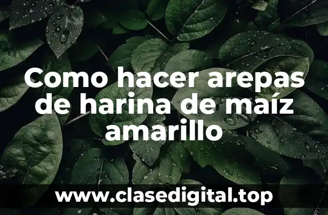 Como hacer arepas de harina de maíz amarillo