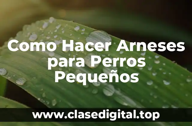 Como Hacer Arneses para Perros Pequeños