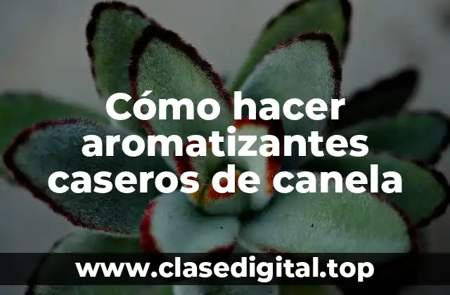 Cómo hacer aromatizantes caseros de canela