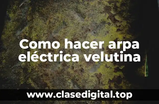 Como hacer arpa eléctrica velutina