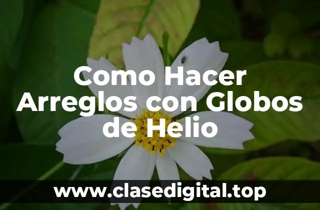 ¿Qué son los Arreglos con Globos de Helio?