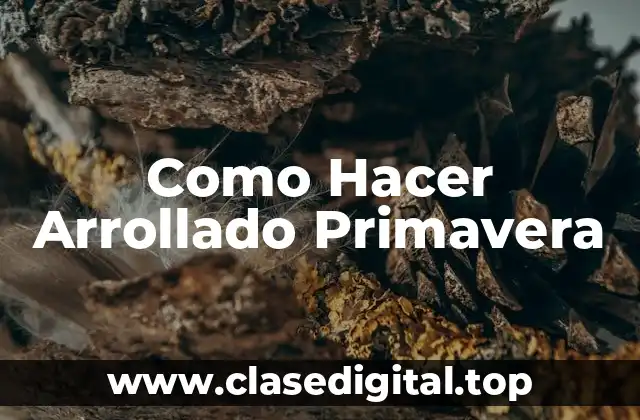 Como Hacer Arrollado Primavera