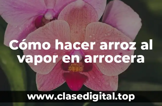 Cómo hacer arroz al vapor en arrocera