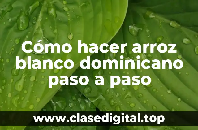 Cómo hacer arroz blanco dominicano paso a paso
