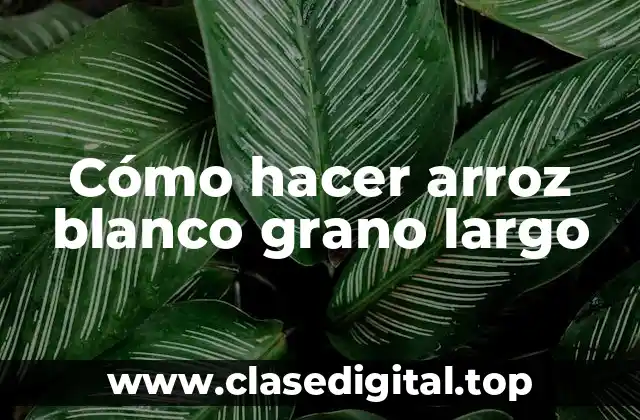 Cómo hacer arroz blanco grano largo