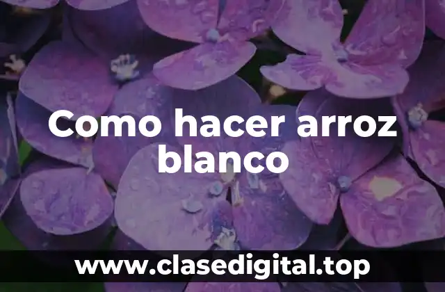 Como hacer arroz blanco