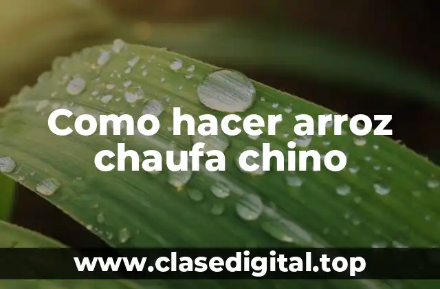 ¿Qué es el arroz chaufa chino?