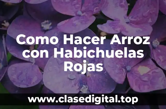 Como Hacer Arroz con Habichuelas Rojas
