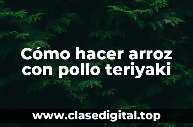 ¿Qué es el arroz con pollo teriyaki y para qué sirve?
