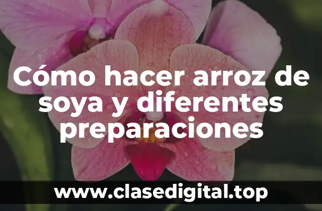 Cómo hacer arroz de soya y diferentes preparaciones