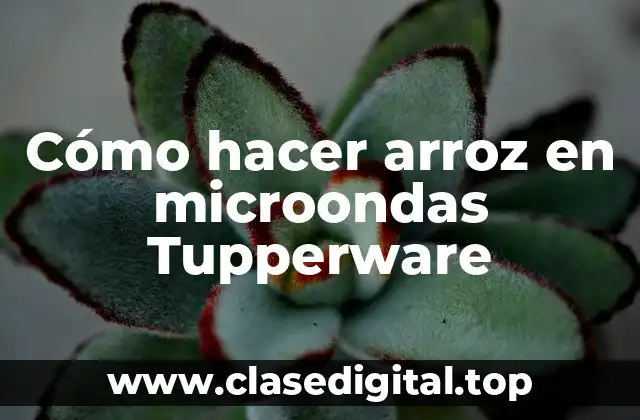 Cómo hacer arroz en microondas Tupperware