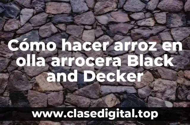 Cómo hacer arroz en olla arrocera Black and Decker