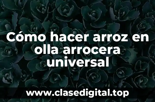 Cómo hacer arroz en olla arrocera universal