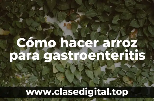 Qué es el arroz para gastroenteritis y para qué sirve