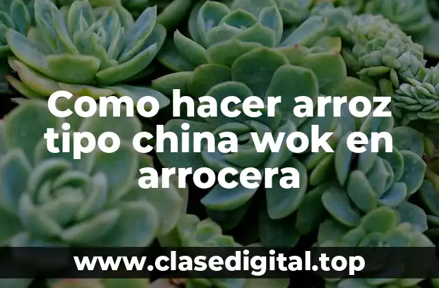 Arroz tipo china wok en arrocera