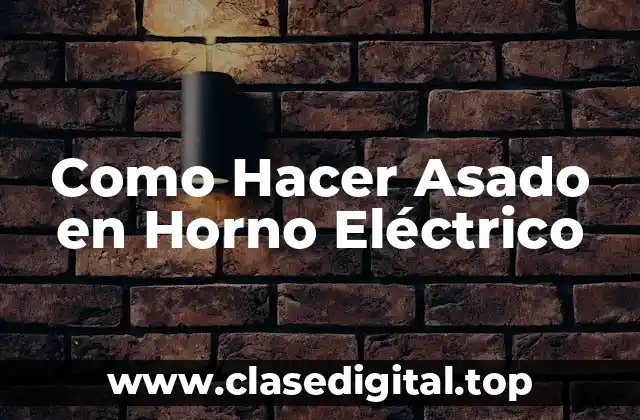 Como Hacer Asado en Horno Eléctrico