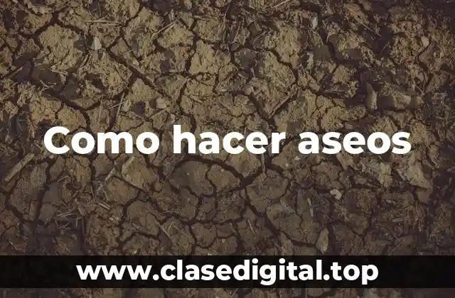 Como hacer aseos