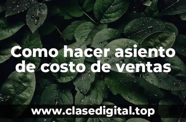 Como hacer asiento de costo de ventas