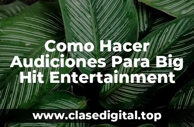 Como Hacer Audiciones Para Big Hit Entertainment