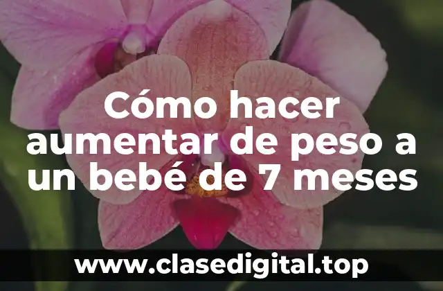 Cómo hacer aumentar de peso a un bebé de 7 meses