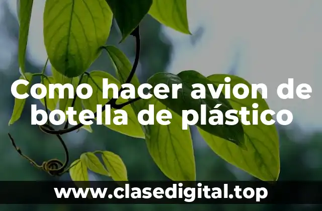 Como hacer avion de botella de plástico