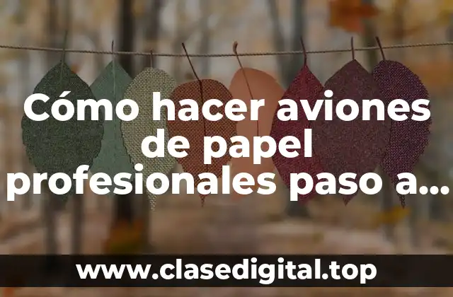 Aviones de papel profesionales: qué son, para qué sirven y cómo se utilizan