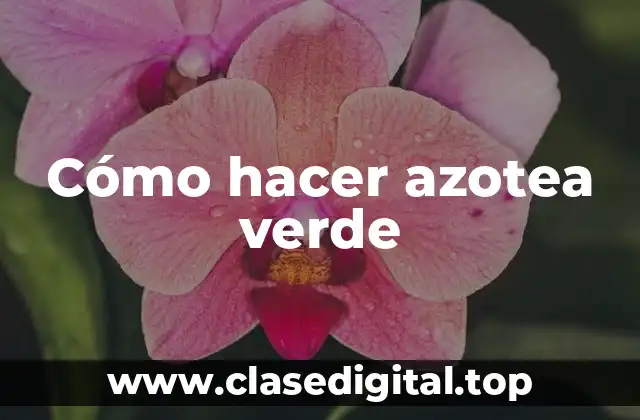 Cómo hacer azotea verde