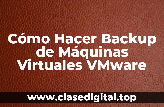 Cómo Hacer Backup de Máquinas Virtuales VMware