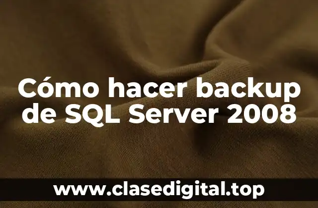 Cómo hacer backup de SQL Server 2008