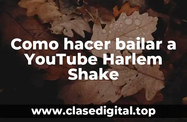 Como hacer bailar a YouTube Harlem Shake