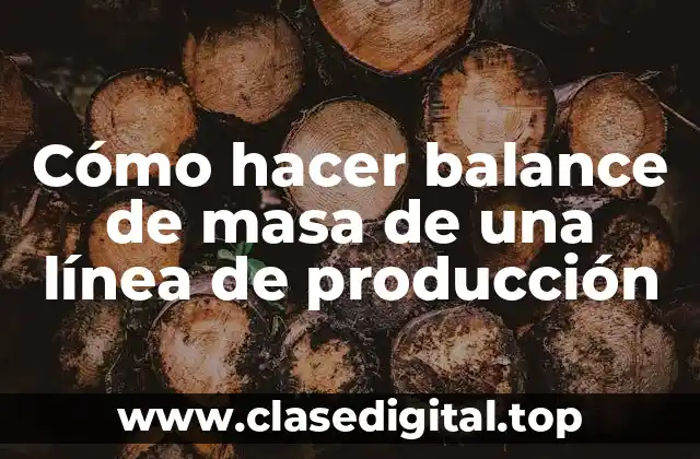 Cómo hacer balance de masa de una línea de producción