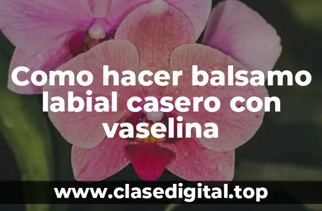 Que es un balsamo labial casero con vaselina