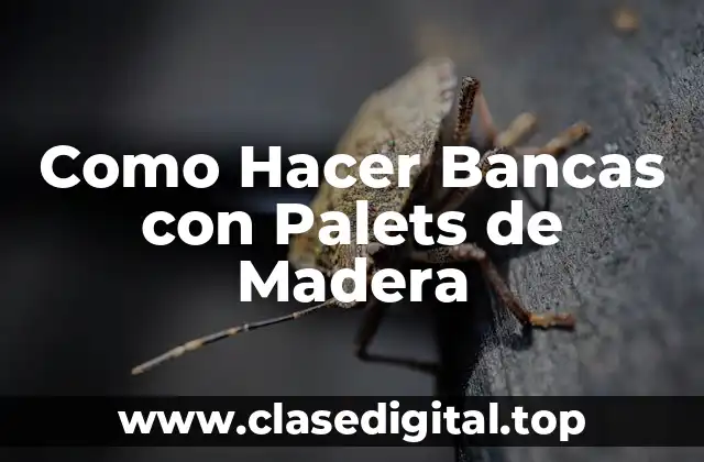 Como Hacer Bancas con Palets de Madera