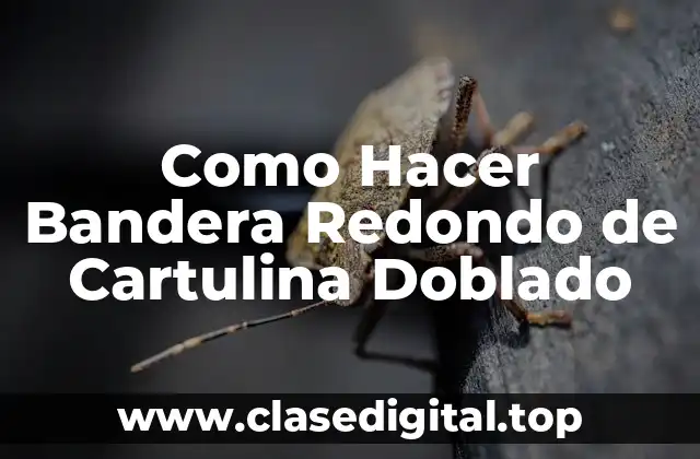 Como Hacer Bandera Redondo de Cartulina Doblado