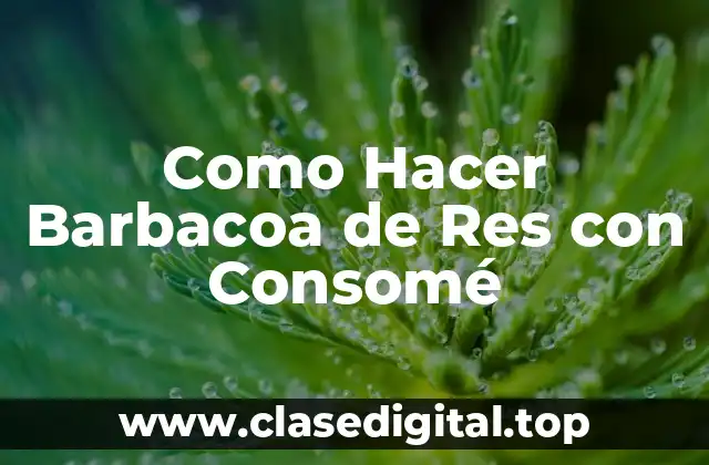 Como Hacer Barbacoa de Res con Consomé