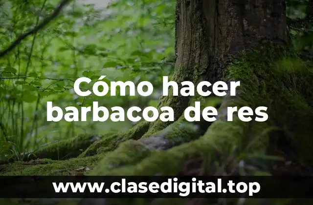 ¿Qué es la barbacoa de res y para qué sirve?